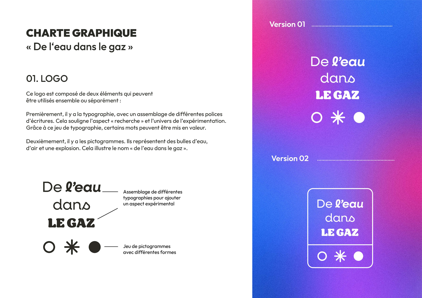 Eau_dans_gaz_charte_graphique