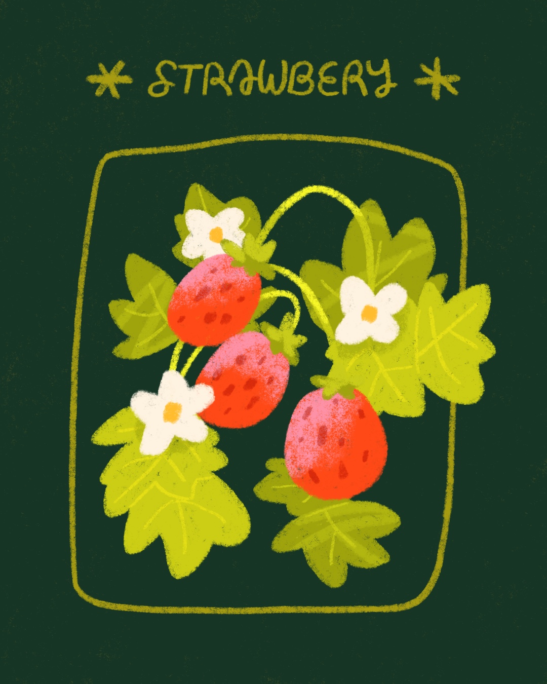 07._Fraise